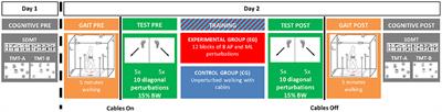 Acute Effects of a Perturbation-Based Balance Training on Cognitive Performance in Healthy Older Adults: A Pilot Study